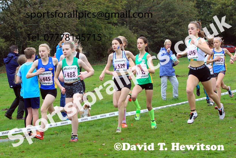 Girls Under-13s, 2022 National Cross Country Relays, Berry Hill Park, Mansfield.  Photo: David T. Hewitson/Sports for All Pics